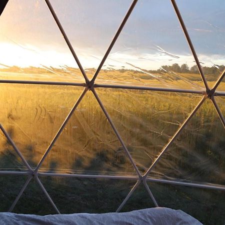 Lincoln Eco Dome - Heated Villa Market Rasen Eksteriør bilde