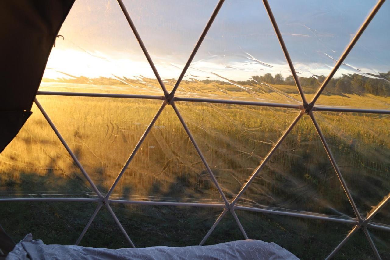Lincoln Eco Dome - Heated Villa Market Rasen Eksteriør bilde